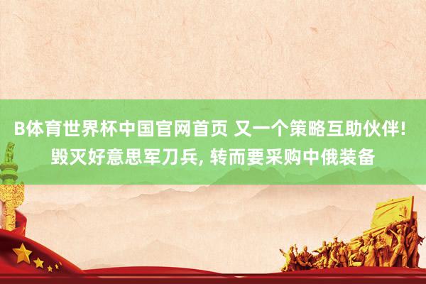 B体育世界杯中国官网首页 又一个策略互助伙伴! 毁灭好意思军刀兵, 转而要采购中俄装备