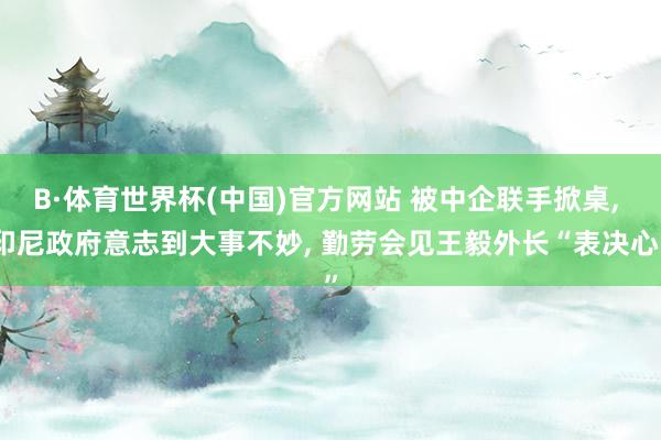 B·体育世界杯(中国)官方网站 被中企联手掀桌, 印尼政府意志到大事不妙, 勤劳会见王毅外长“表决心”
