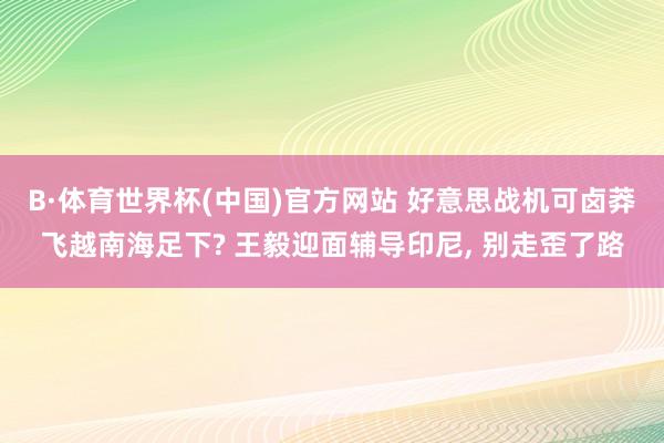 B·体育世界杯(中国)官方网站 好意思战机可卤莽飞越南海足下? 王毅迎面辅导印尼, 别走歪了路