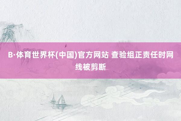B·体育世界杯(中国)官方网站 查验组正责任时网线被剪断