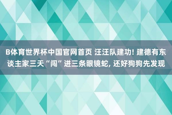 B体育世界杯中国官网首页 汪汪队建功! 建德有东谈主家三天“闯”进三条眼镜蛇, 还好狗狗先发现