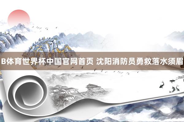 B体育世界杯中国官网首页 沈阳消防员勇救落水须眉
