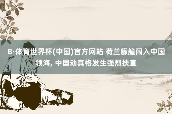 B·体育世界杯(中国)官方网站 荷兰艨艟闯入中国领海, 中国动真格发生强烈扶直
