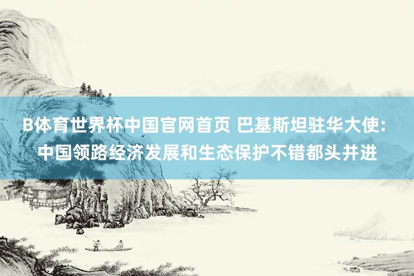 B体育世界杯中国官网首页 巴基斯坦驻华大使: 中国领路经济发展和生态保护不错都头并进