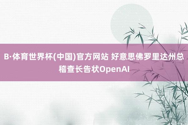 B·体育世界杯(中国)官方网站 好意思佛罗里达州总稽查长告状OpenAI