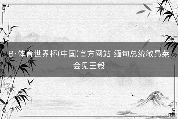 B·体育世界杯(中国)官方网站 缅甸总统敏昂莱会见王毅