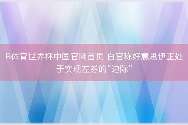 B体育世界杯中国官网首页 白宫称好意思伊正处于实现左券的“边际”