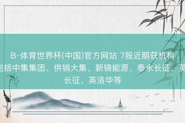 B·体育世界杯(中国)官方网站 7股近期获机构调研， 包括中集集团、供销大集、新锦能源、泰永长征、英洛华等