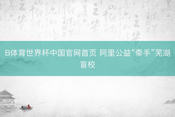 B体育世界杯中国官网首页 阿里公益“牵手”芜湖盲校